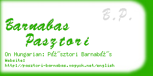 barnabas pasztori business card